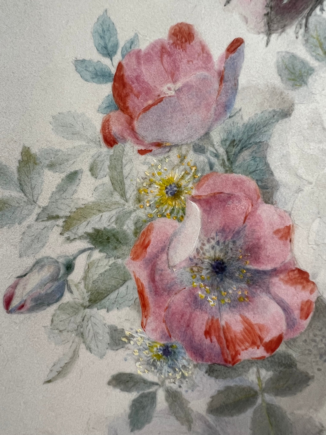 Adèle LALLEMAND - Aquarelle - 1861 (livraison avec assurance incluse)