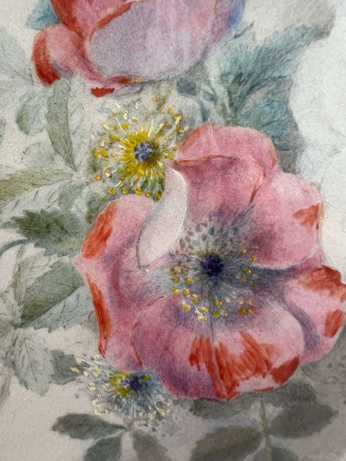 Adèle LALLEMAND - Aquarelle - 1861 (livraison avec assurance incluse)