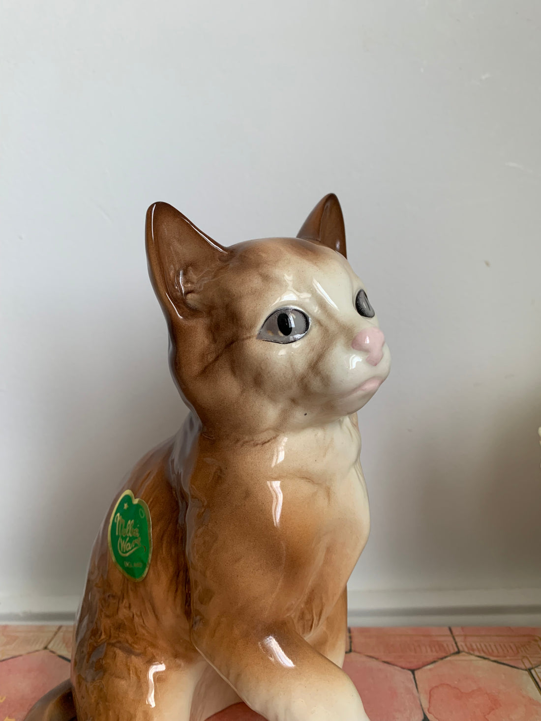 Chat anglais années 50