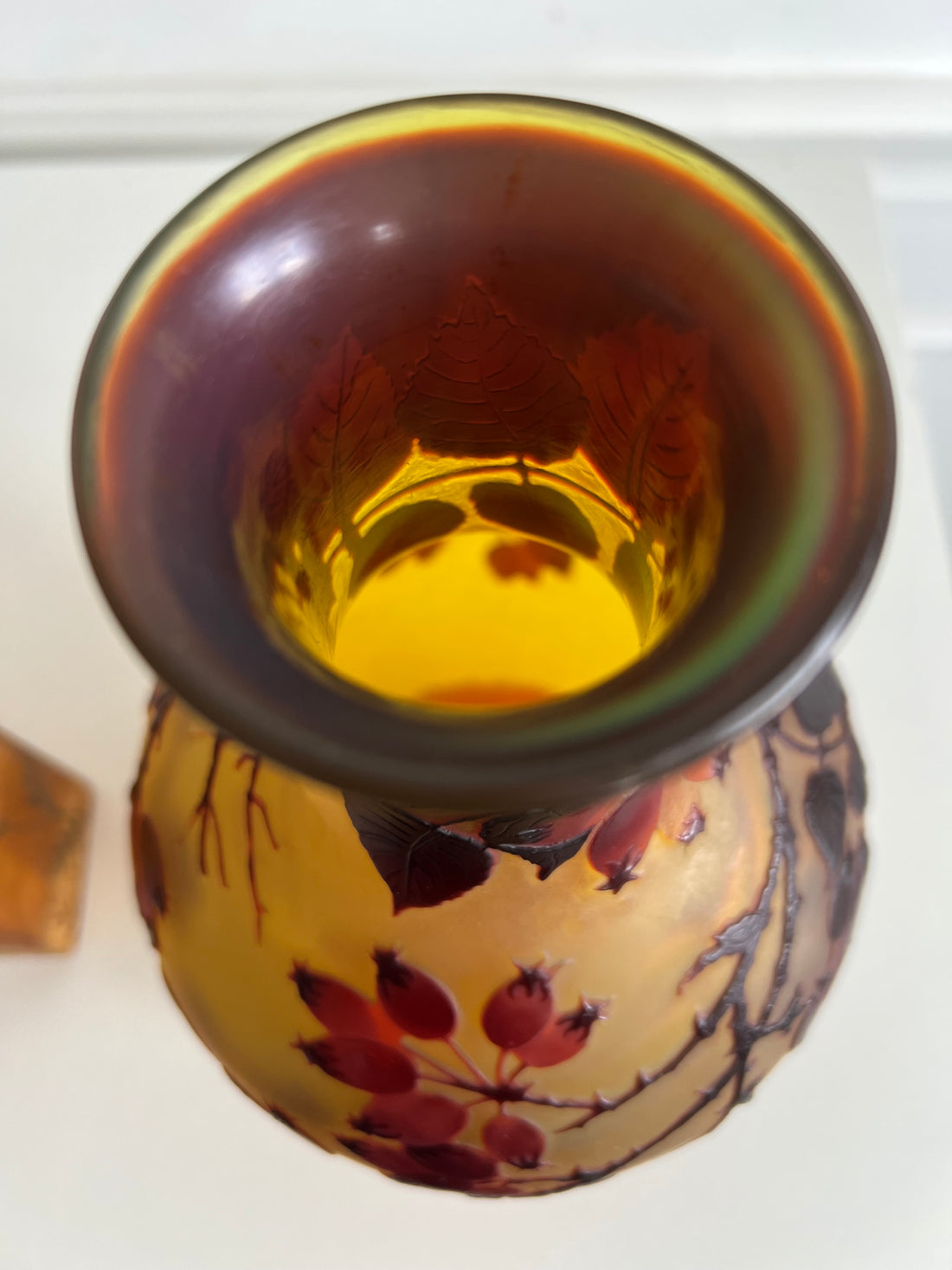 Vase Emile Gallé à l'églantier (Affaire Conclue)