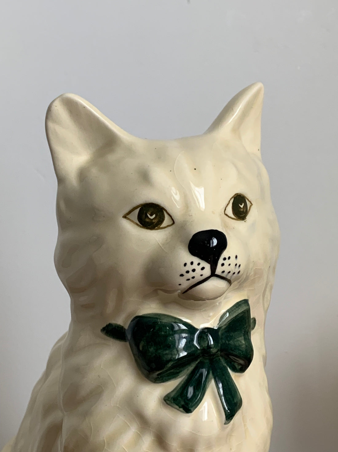 Chat anglais années 50