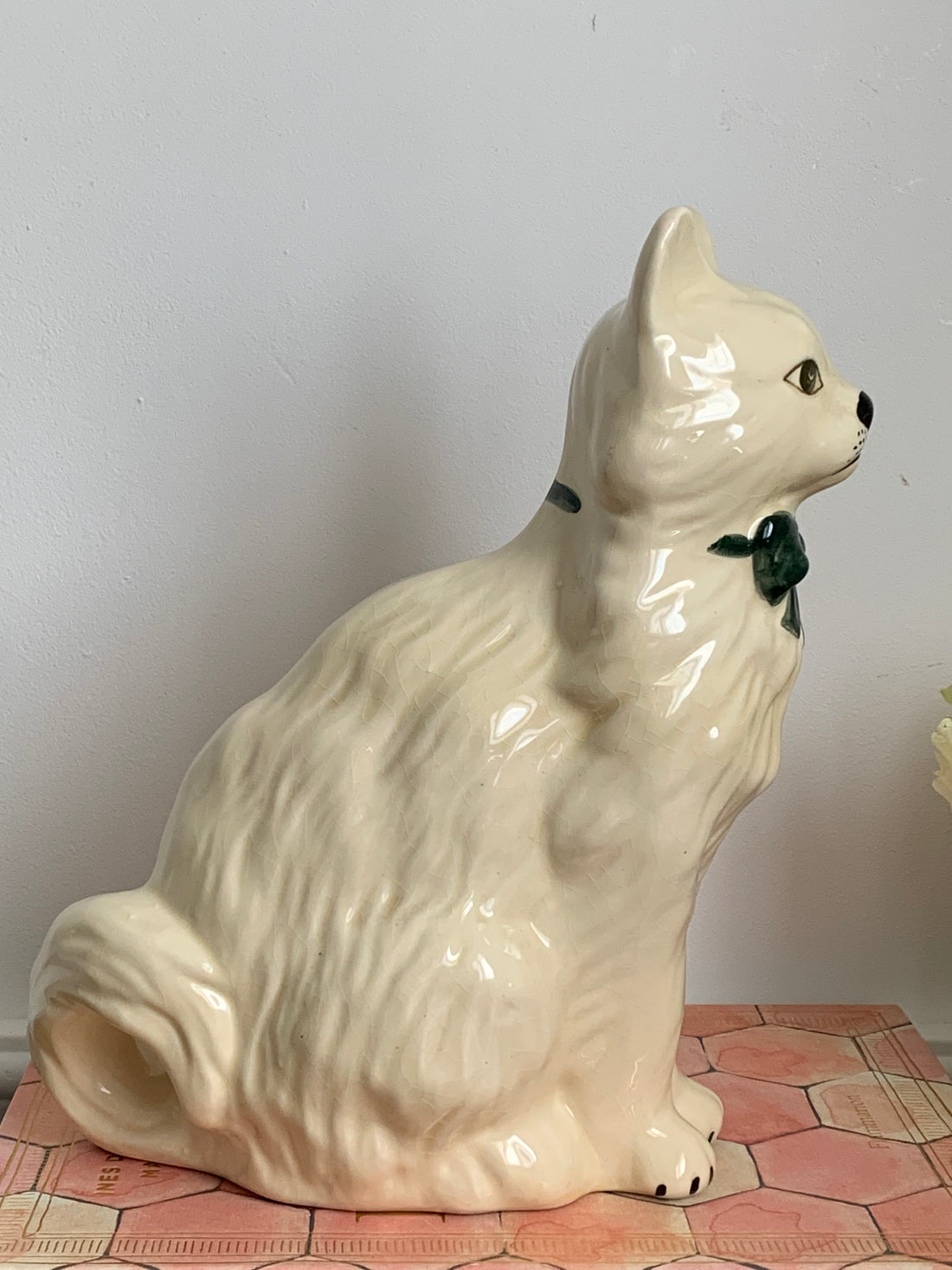 Chat anglais années 50