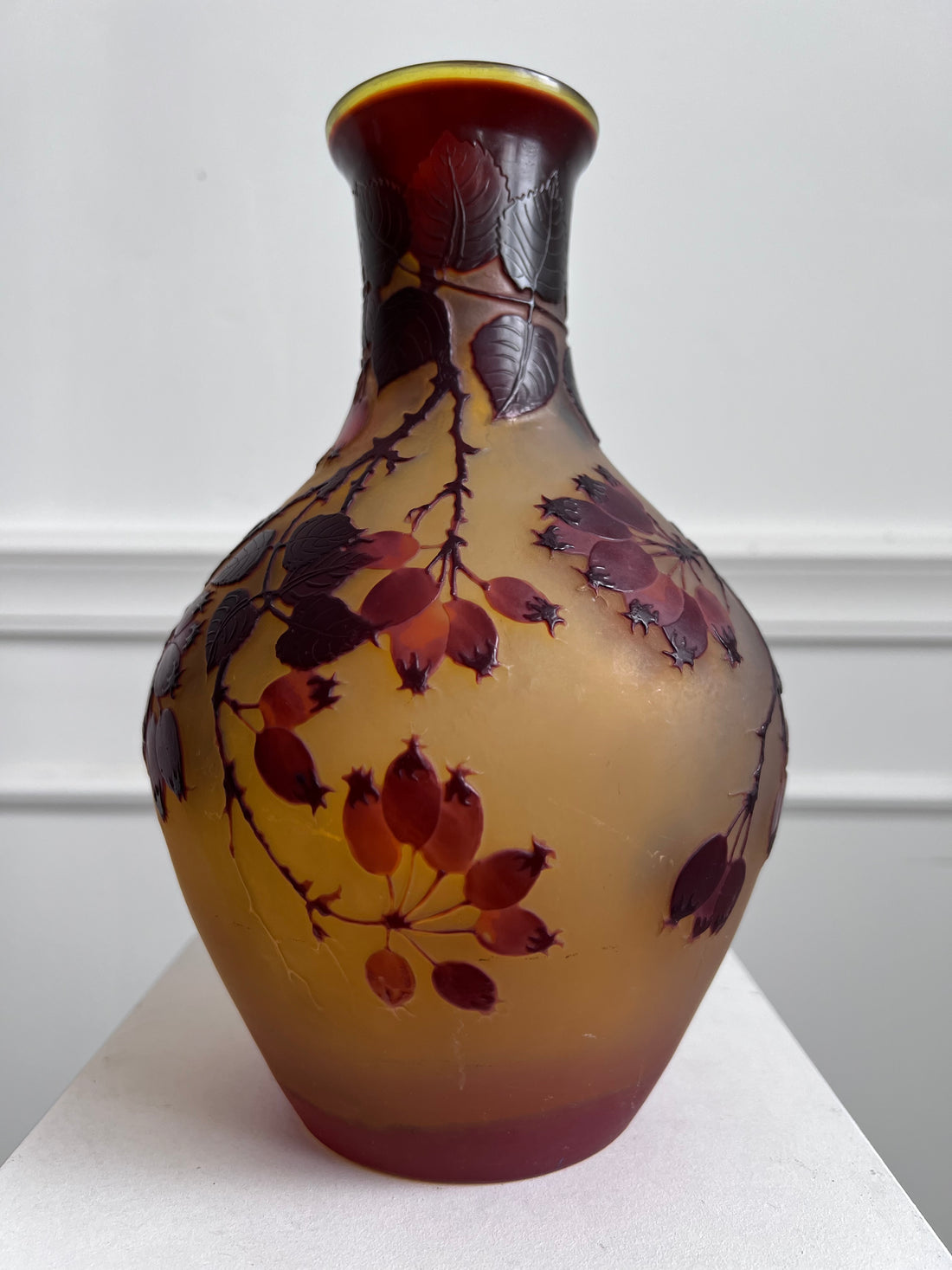Vase Emile Gallé à l'églantier (Affaire Conclue)