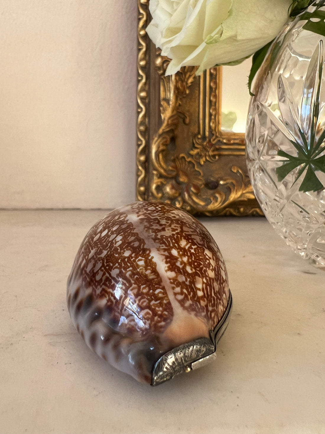Coffret coquillage et argent XIXème