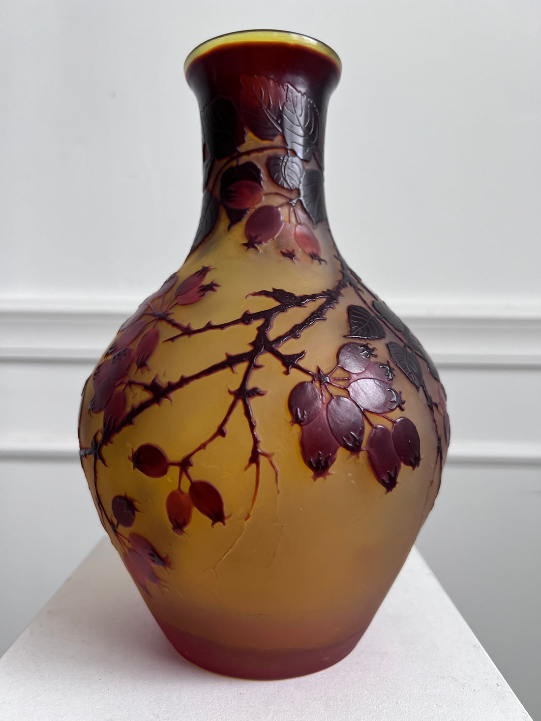 Vase Emile Gallé à l'églantier (Affaire Conclue)