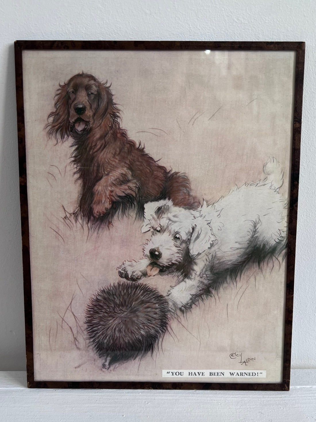 3 dessins anglais 1900 de Cecil Aldin