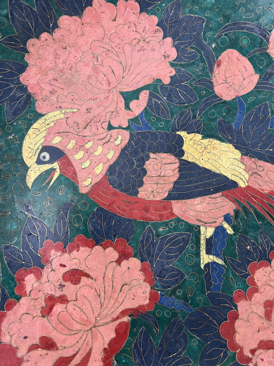 Grand plat cloisonné - Japon - XIXème