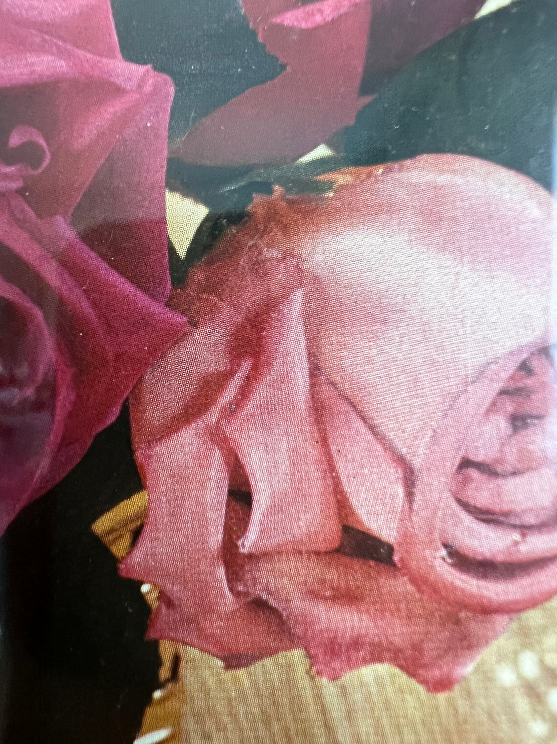 Cadre au bouquet de roses - impression vintage sous verre