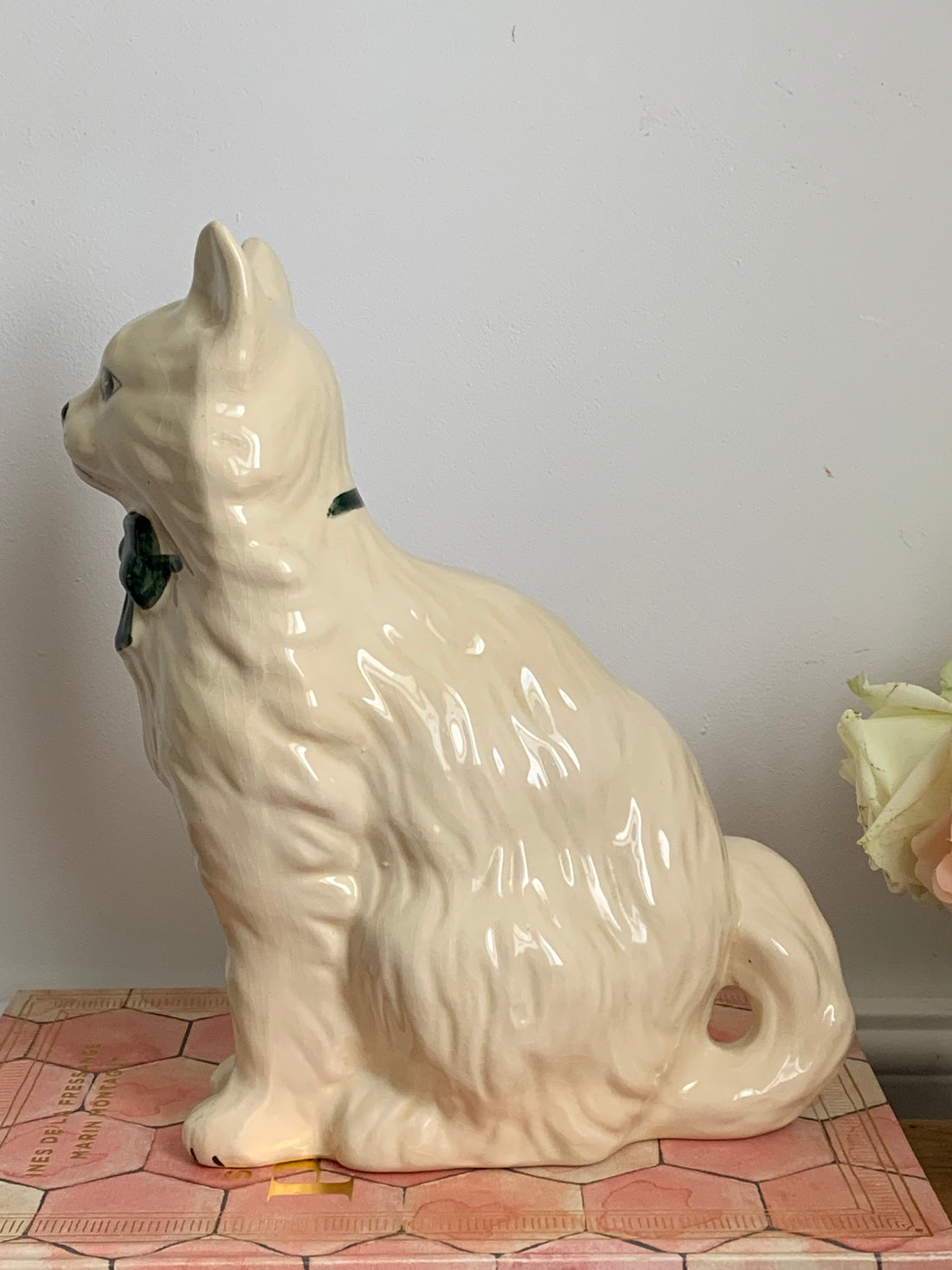 Chat anglais années 50
