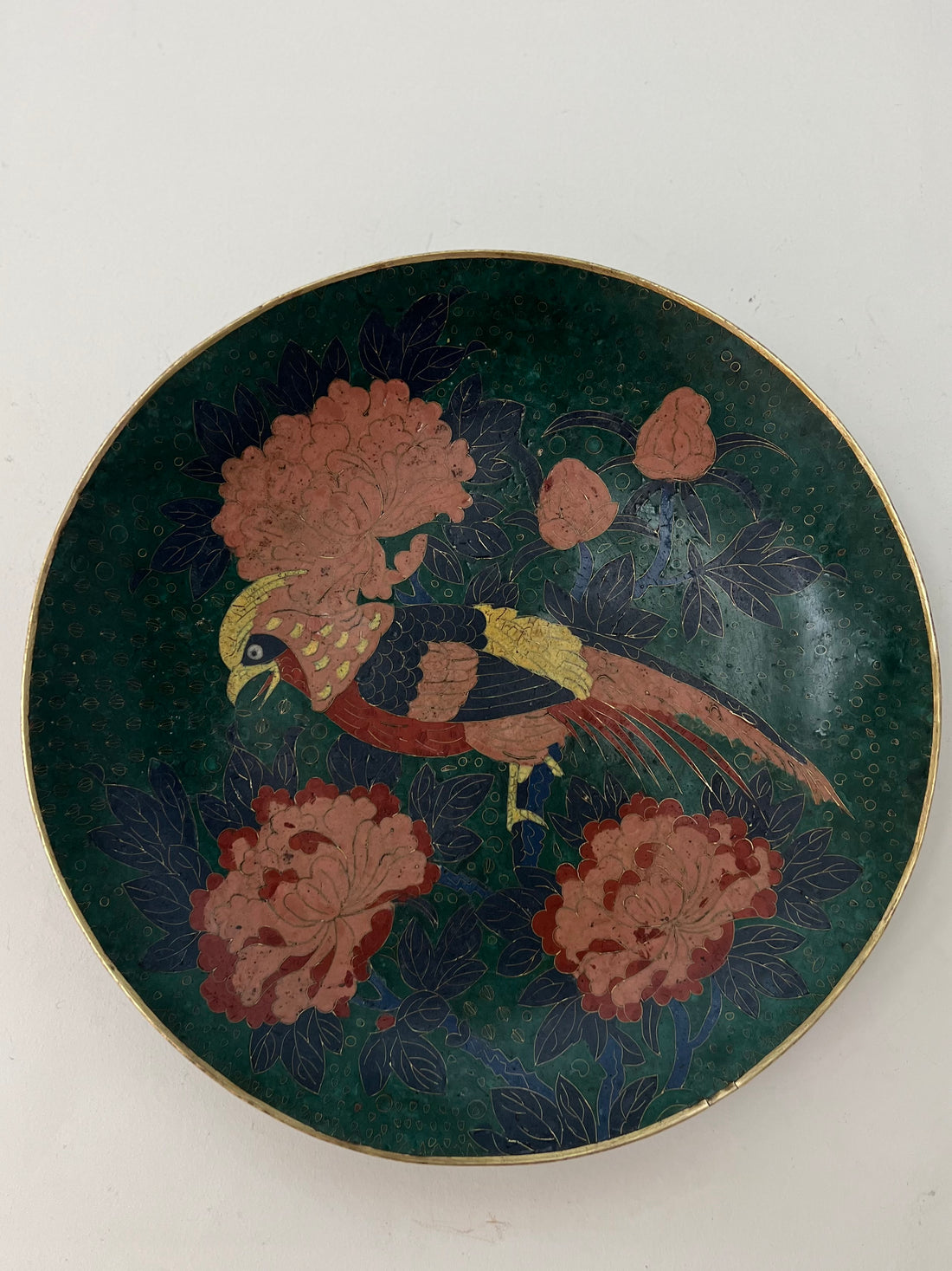 Grand plat cloisonné - Japon - XIXème