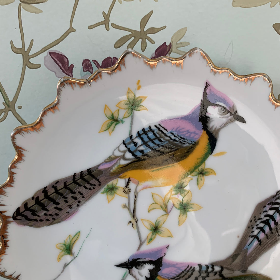 Paire d'assiettes aux oiseaux 1950