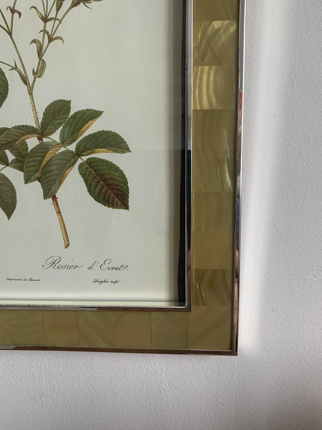Paire de cadres nacrés aux gravures de Redouté