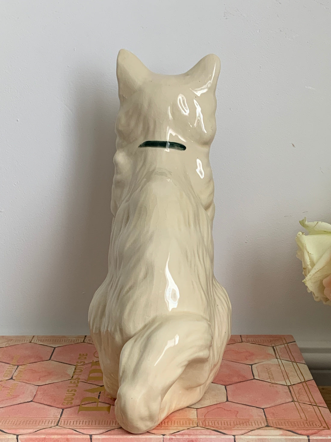 Chat anglais années 50