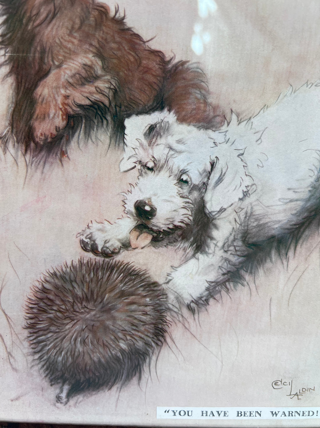 3 dessins anglais 1900 de Cecil Aldin