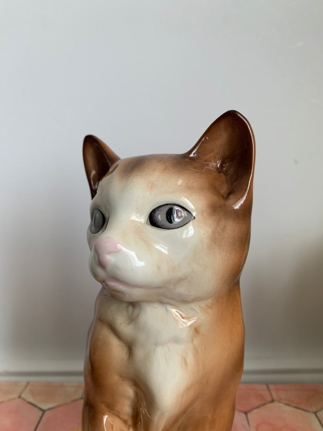 Chat anglais années 50