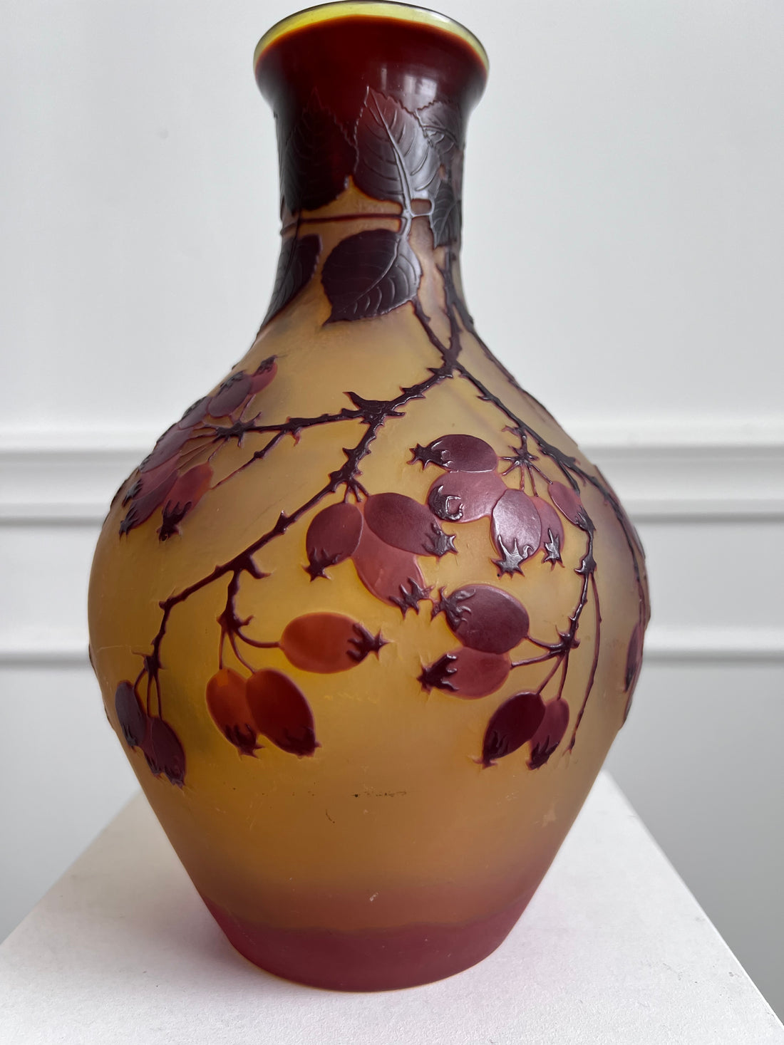 Vase Emile Gallé à l'églantier (Affaire Conclue)