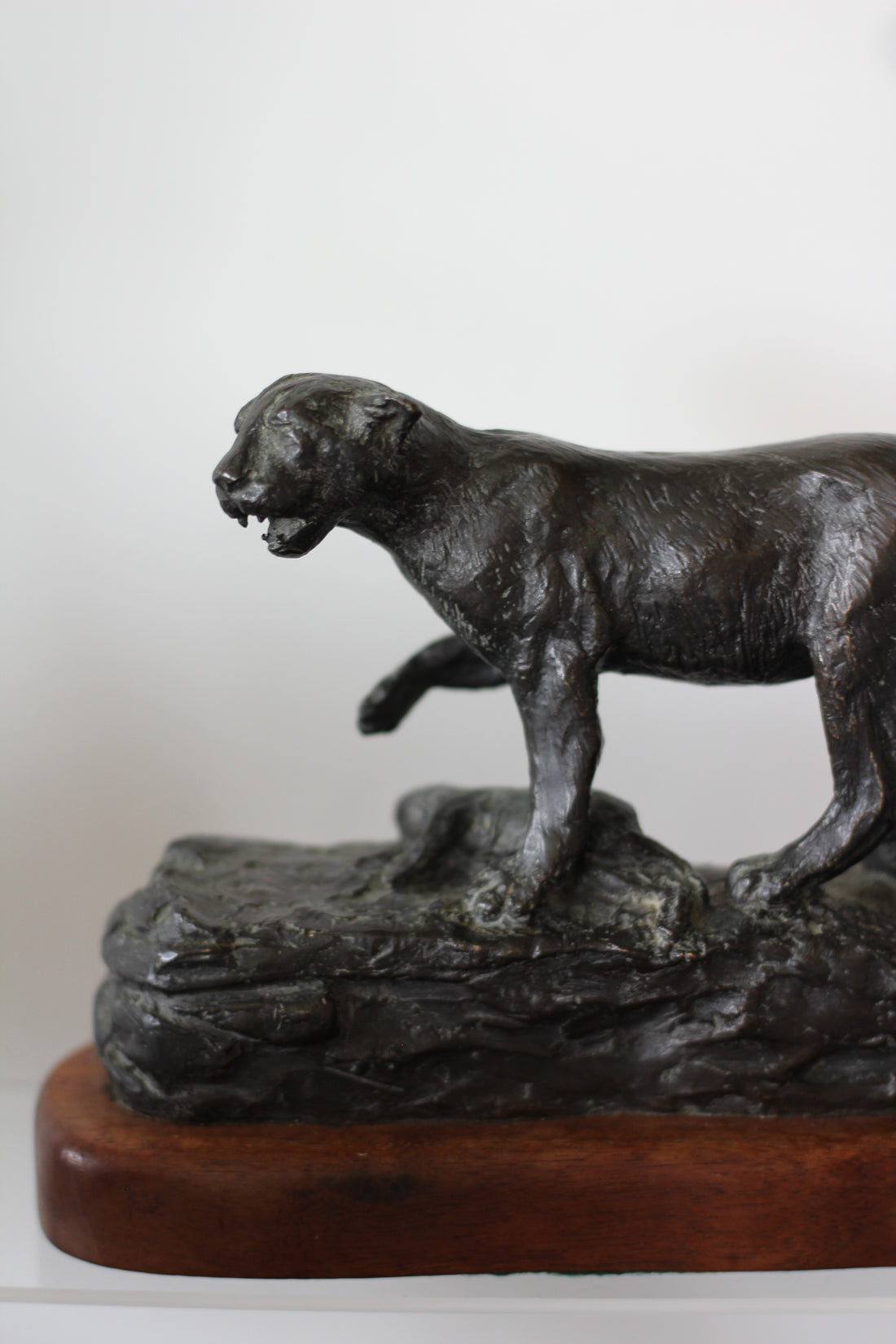 Puma en bronze - Angleterre, XXème