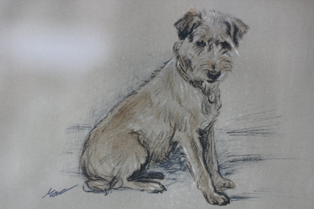 Ancienne impression d'un terrier au pastel - Angleterre, vers 1930