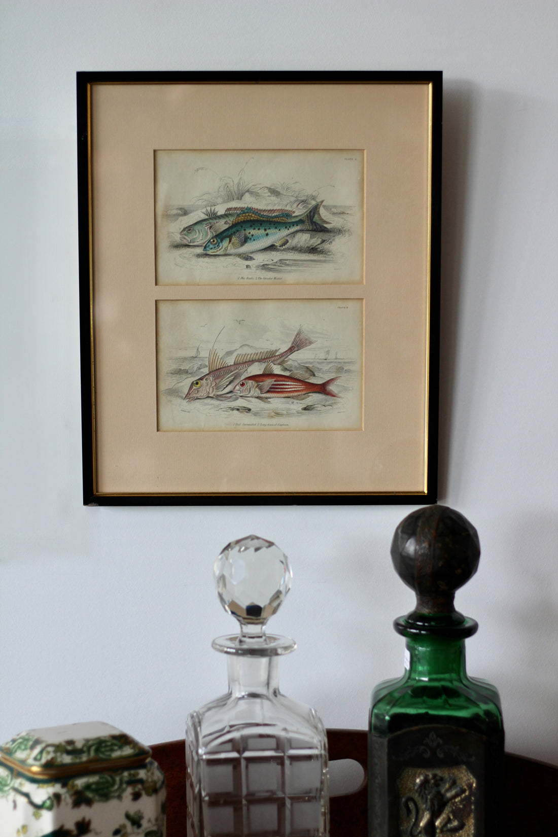 Gravures anciennes de poissons - Angleterre, XIXème siècle