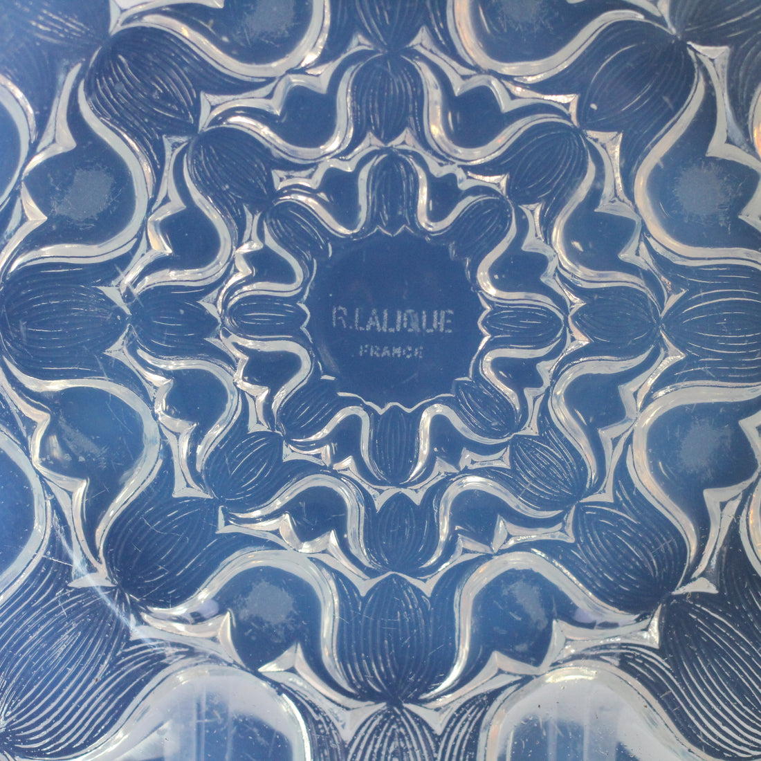 Coupe René Lalique modèle Campanules
