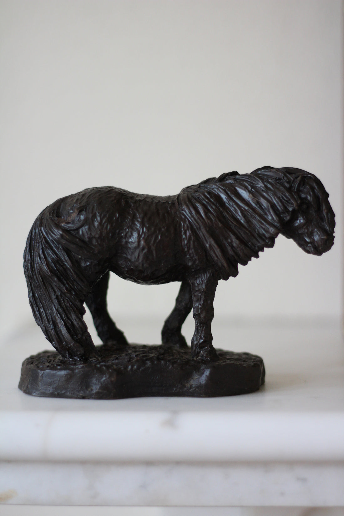 Poney Shetland anglais