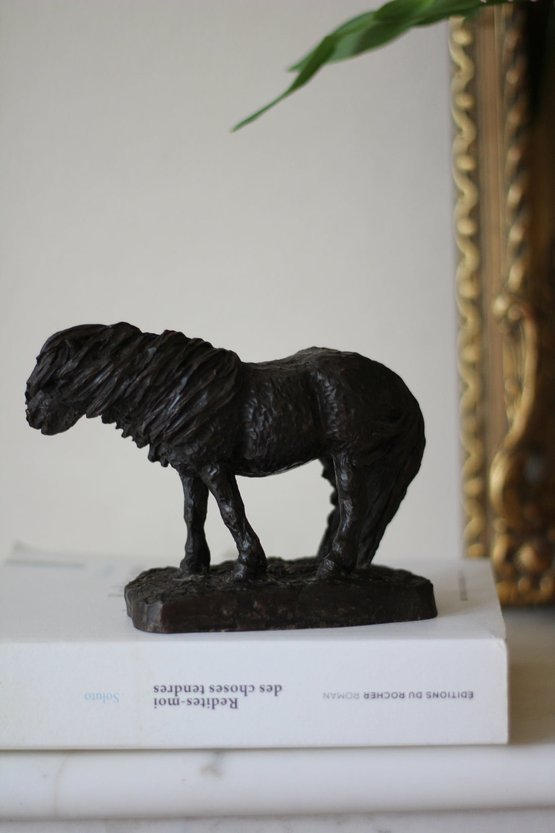 Poney Shetland anglais