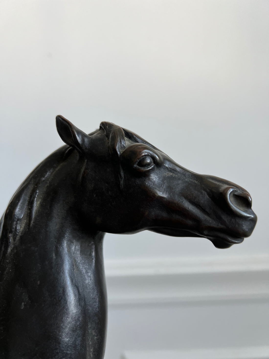 L'étalon - Bronze XIXème - Louis Vidal