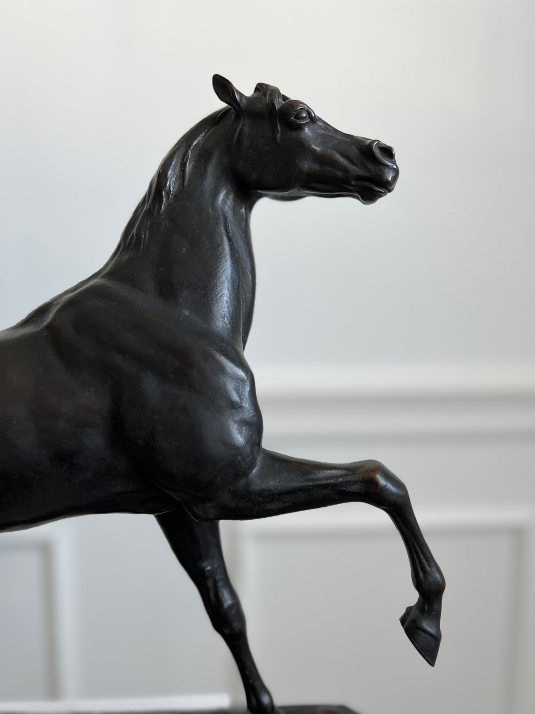 L'étalon - Bronze XIXème - Louis Vidal