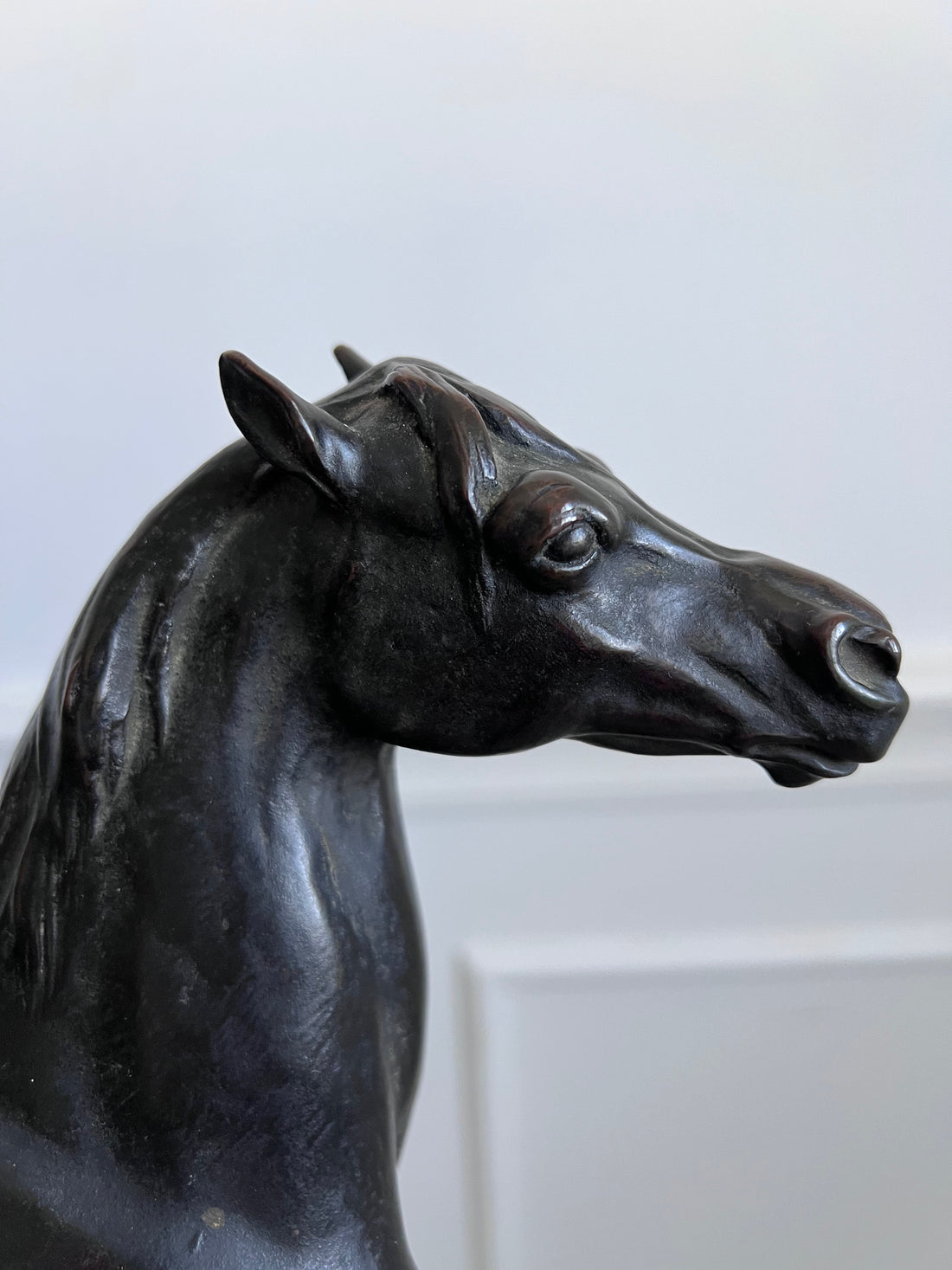 L'étalon - Bronze XIXème - Louis Vidal